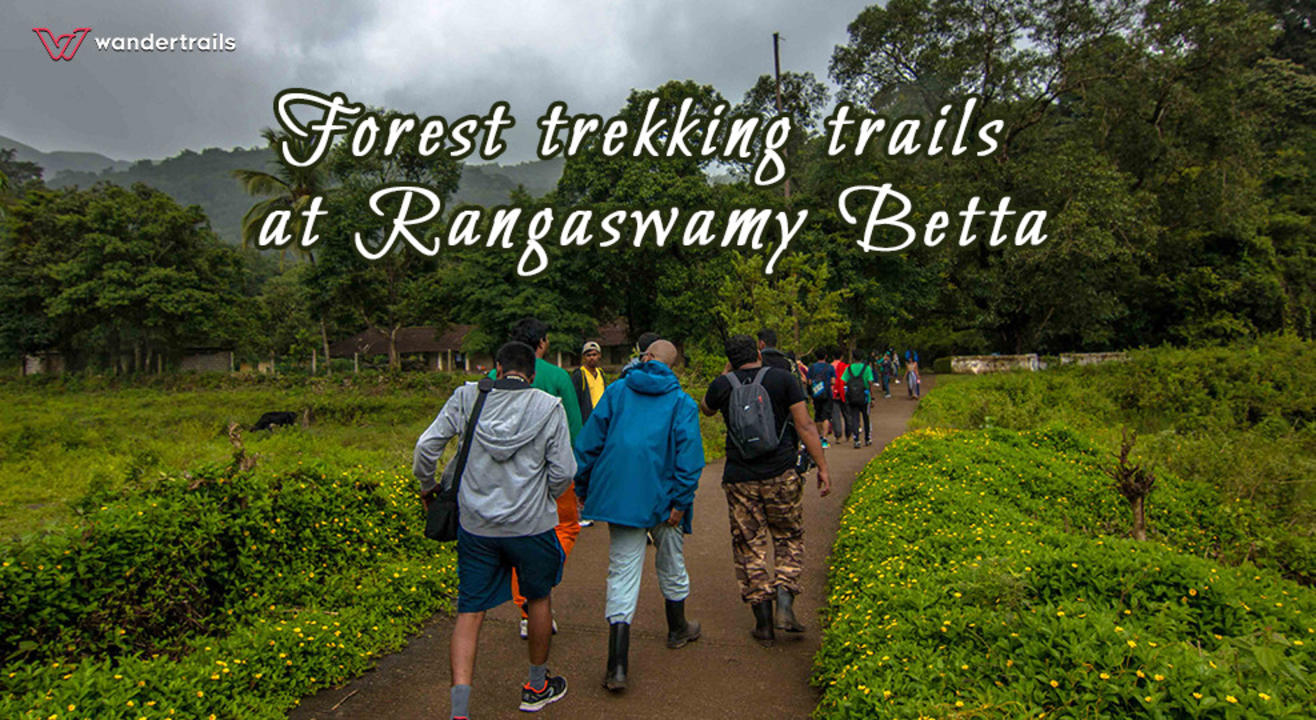 Forest trekking trails at Rangaswamy Betta