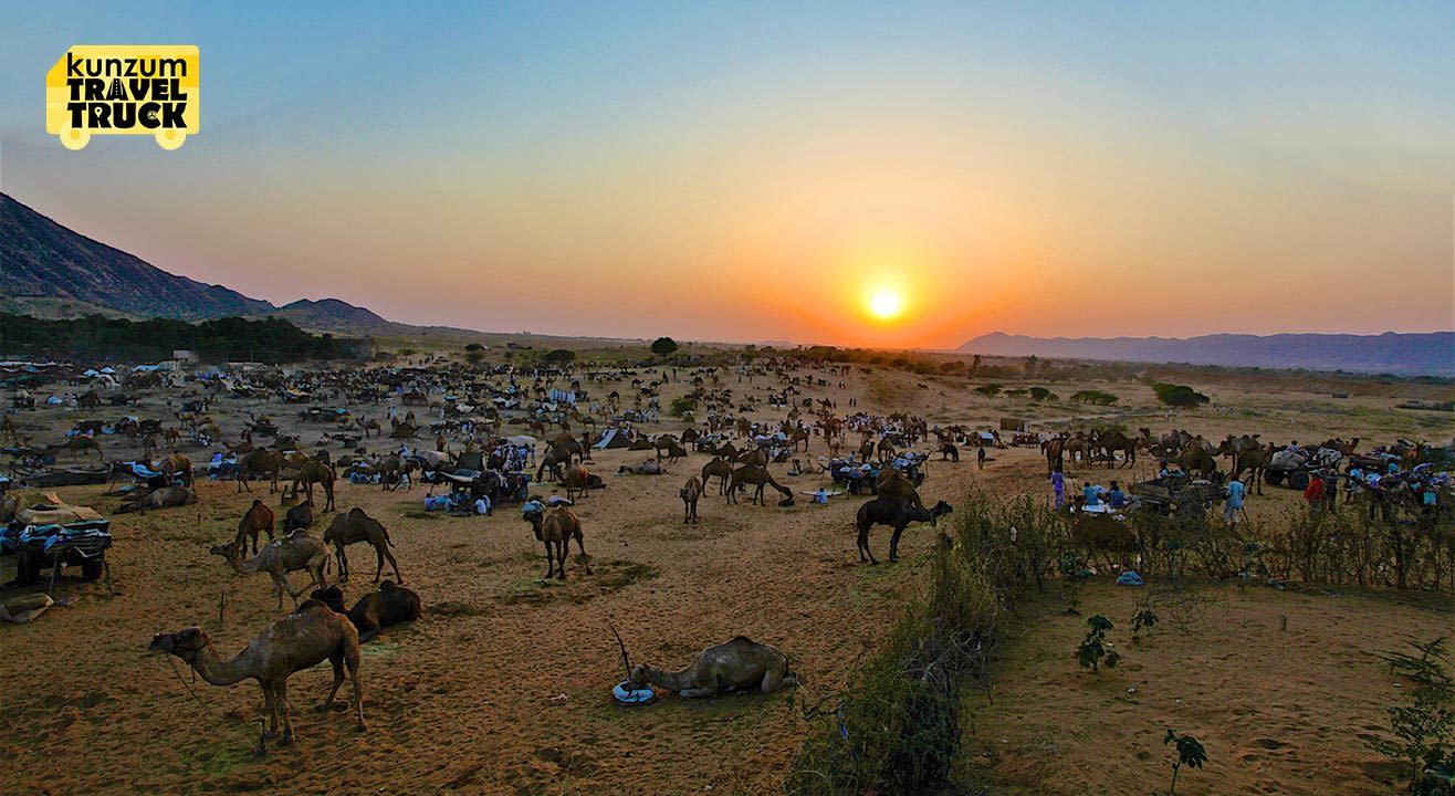 Let's Celebrate The Pushkar Camel Fair