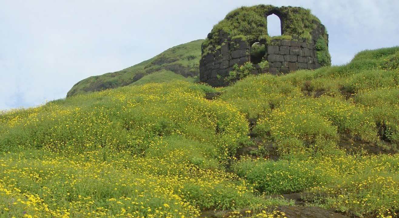 Night Trek To The Jewel Of Sahyadri Ratangad Fort