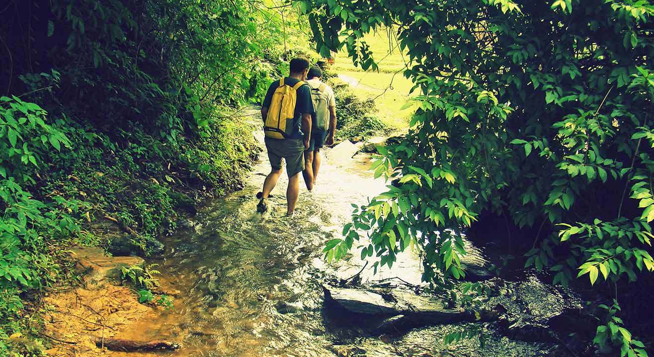 Goa Jungle Trail