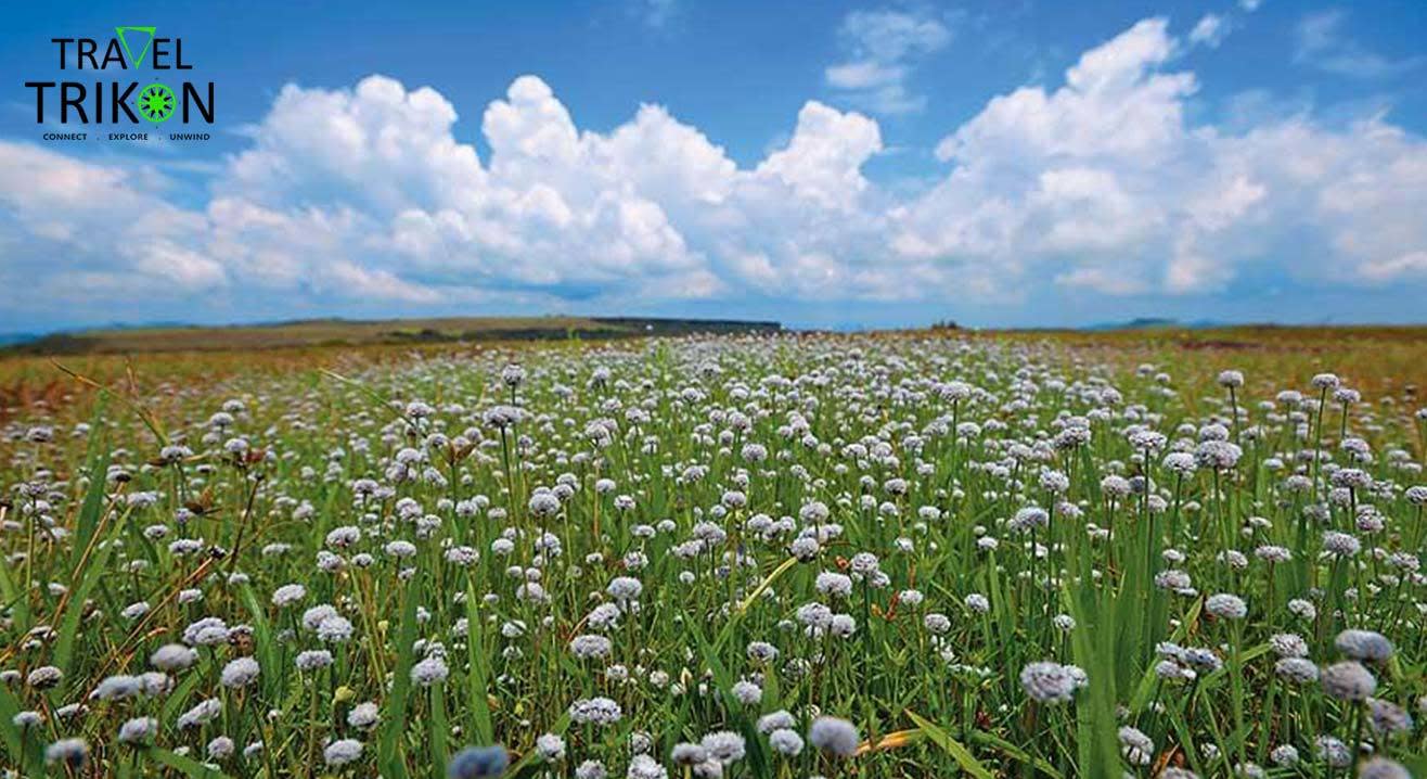 Kaas Plateau Tour