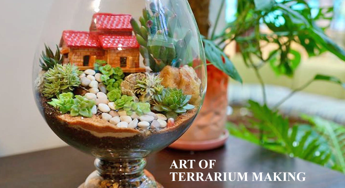 Terrarium Workshop by Bloom & Grow