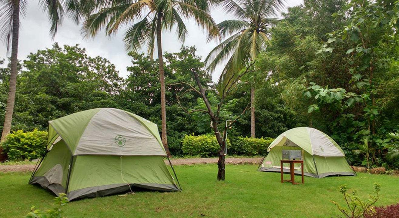 Farm Camping at Dahanu Chiku Farm