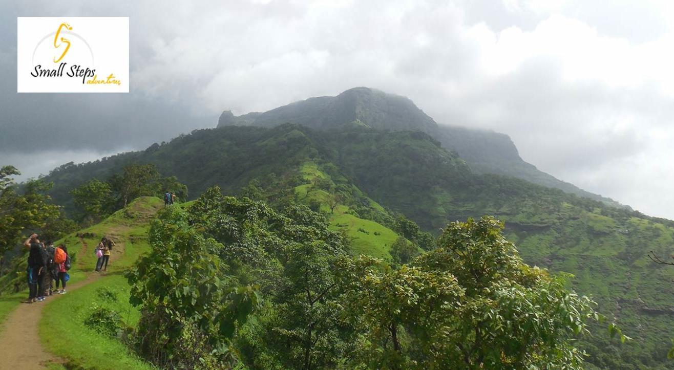 One Day trek to One Tree Hill