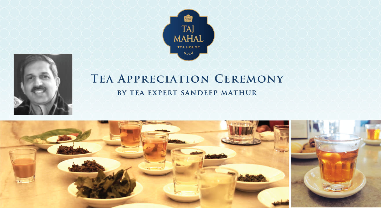 Tea Appreciation