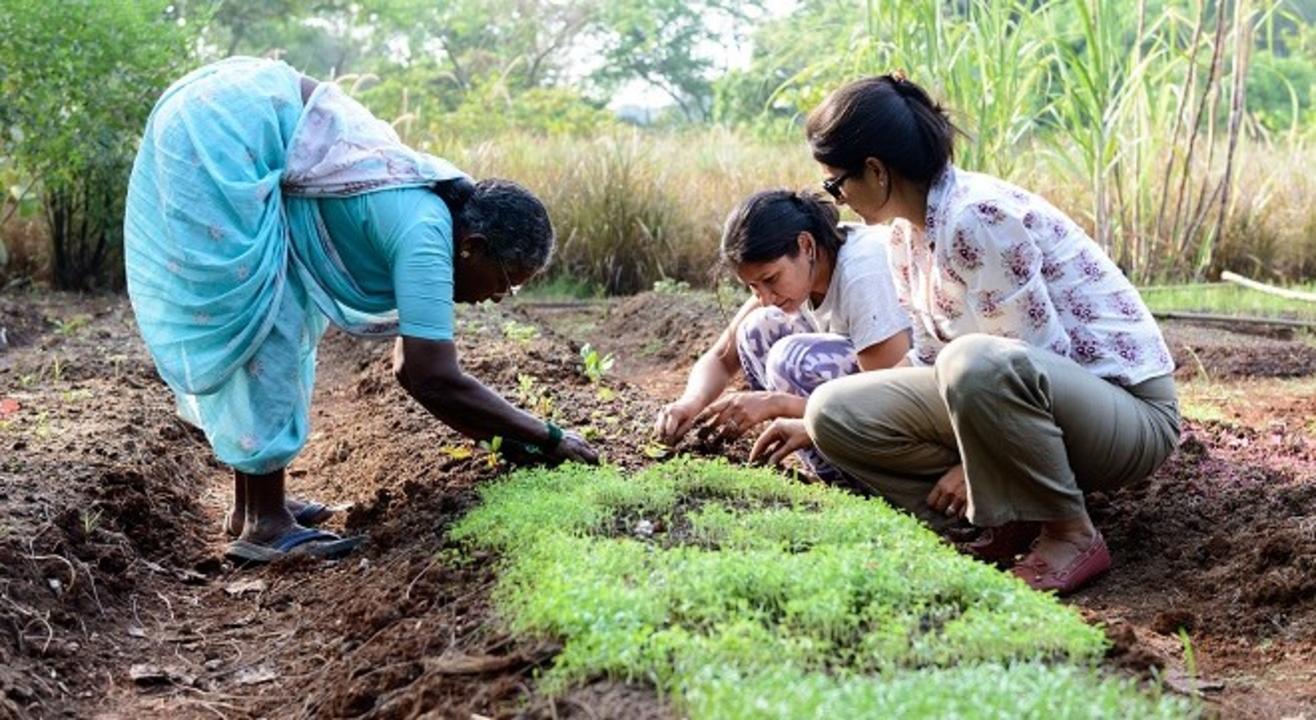 The Table Farm Workshop in Alibaug