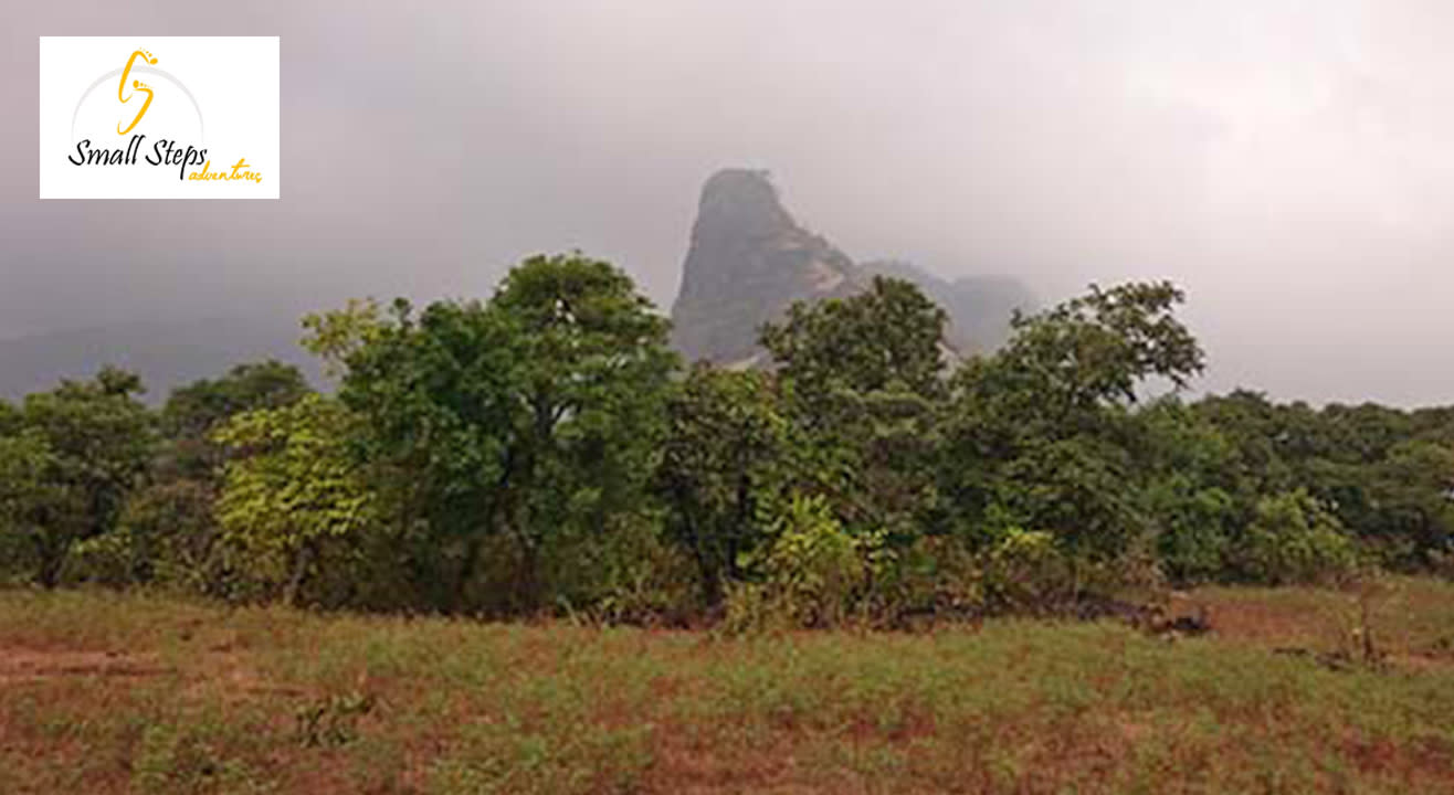 One Day Trek To Tandulwadi