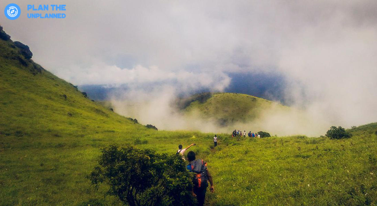 Tadiandamol Coorg Trek | Plan The Unplanned