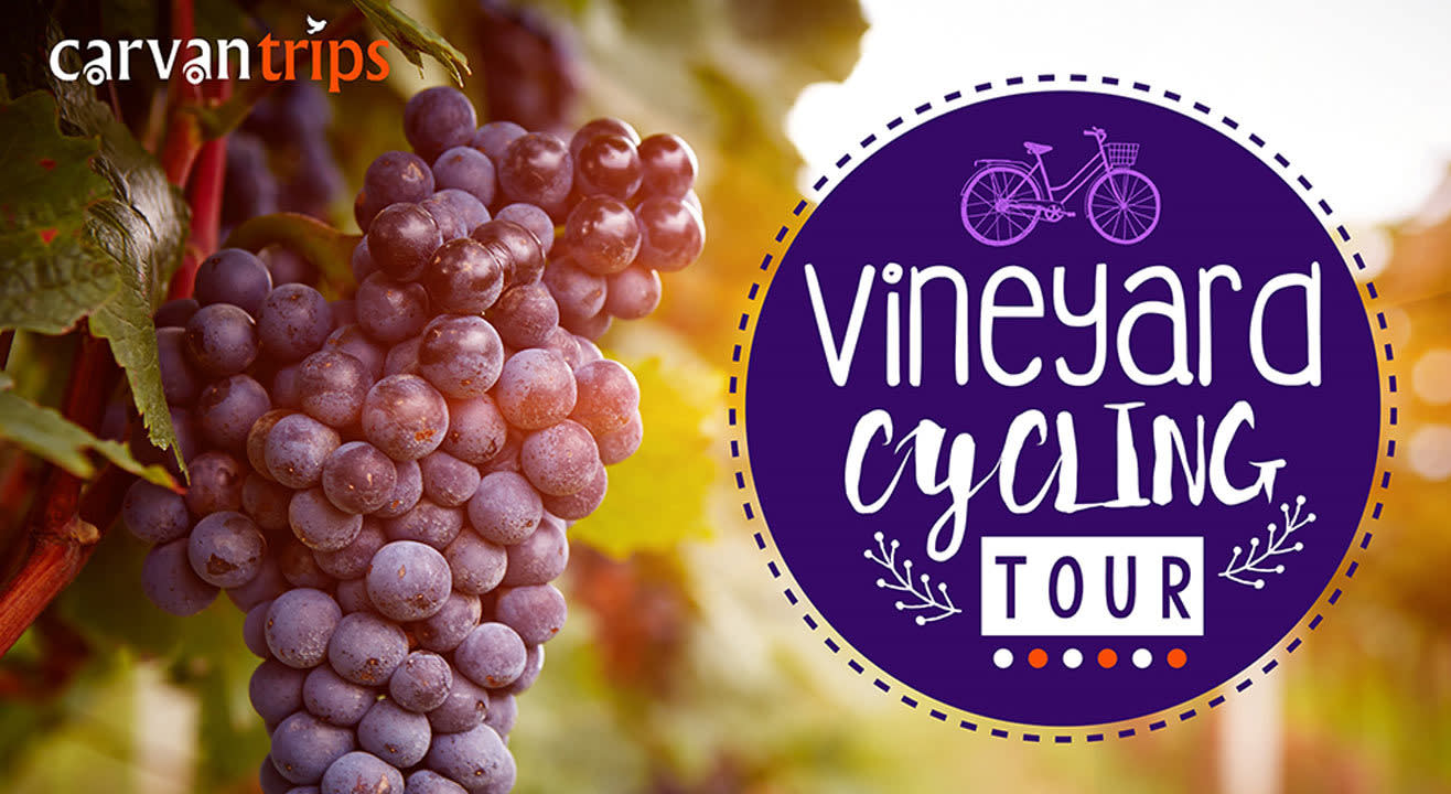 Vineyard Tour & Cycling