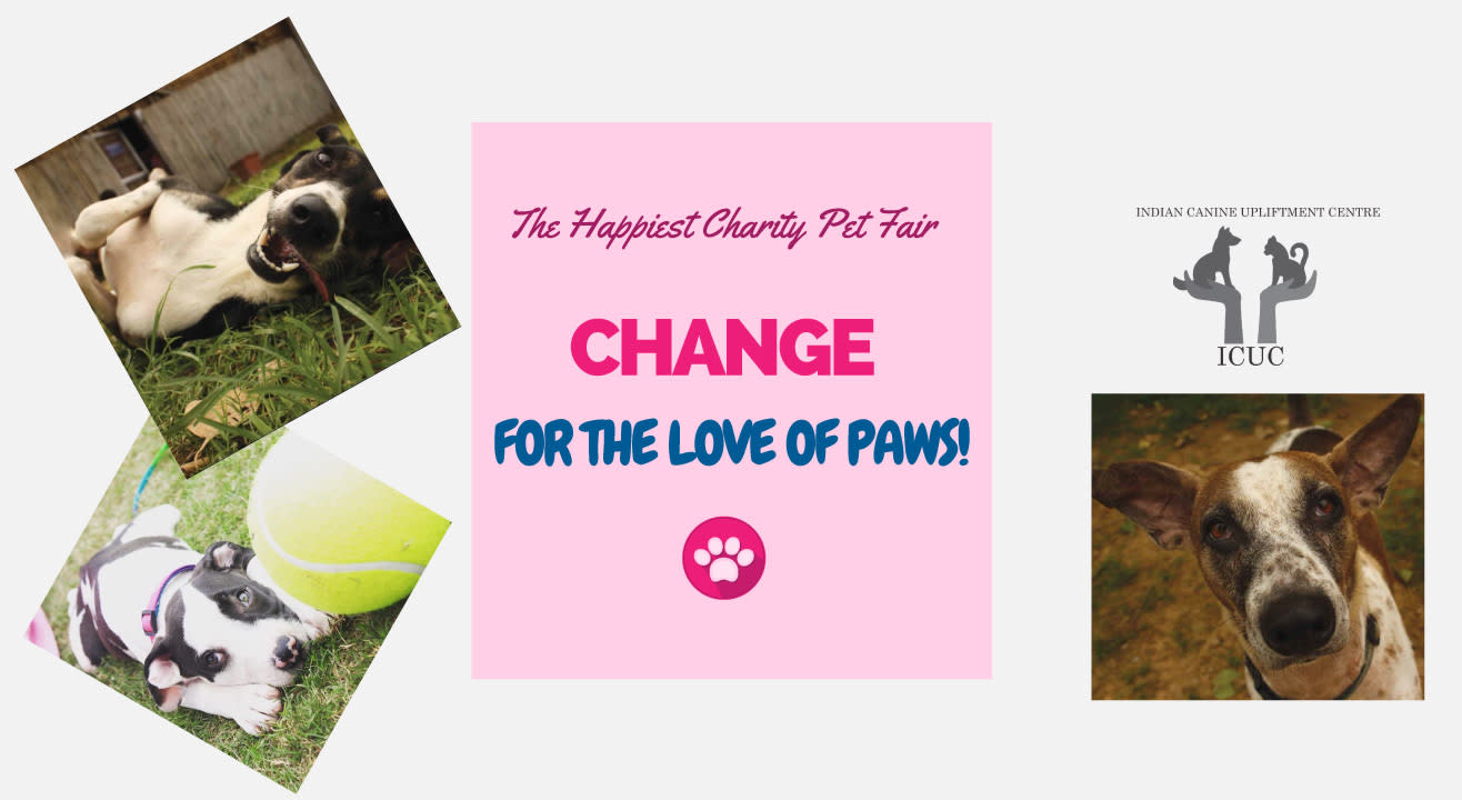 Change! For The Love Of Paws