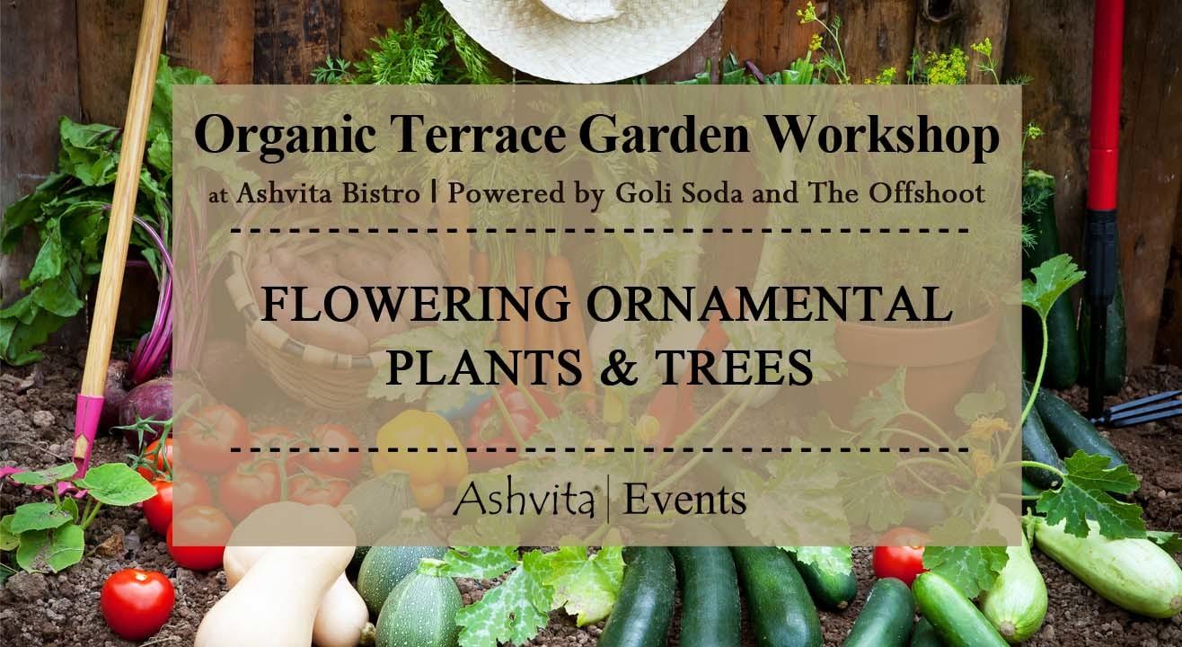 Organic Terrace Garden Workshop: Flowering Ornamental Plants & Trees