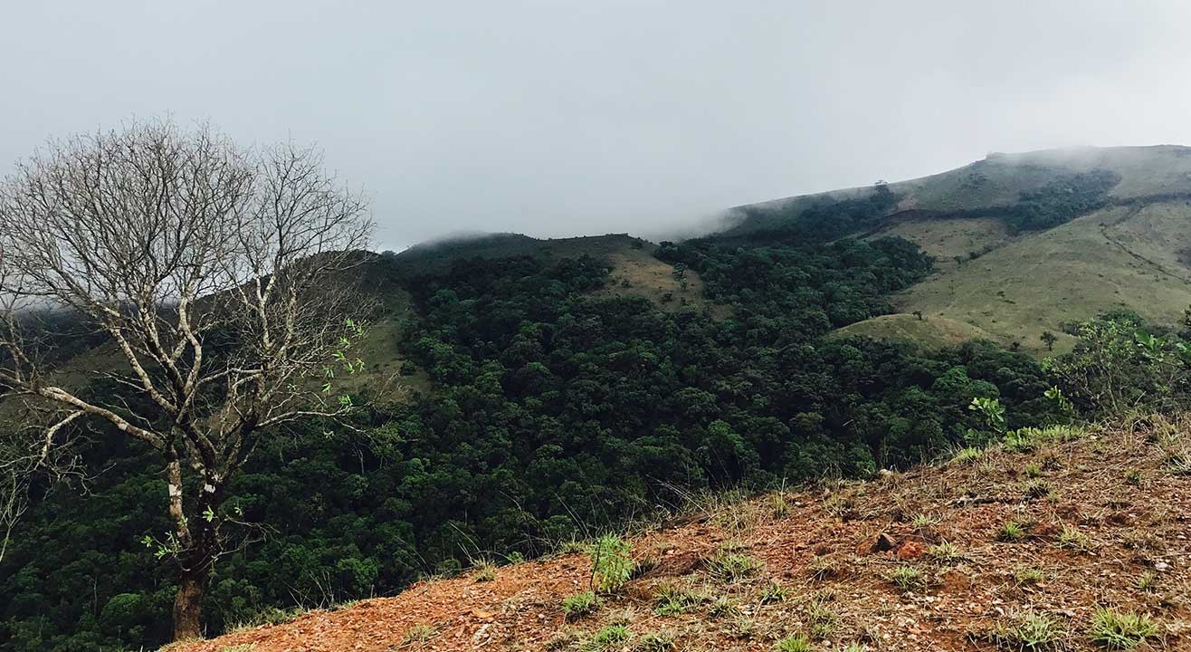 Kodachadri Trek