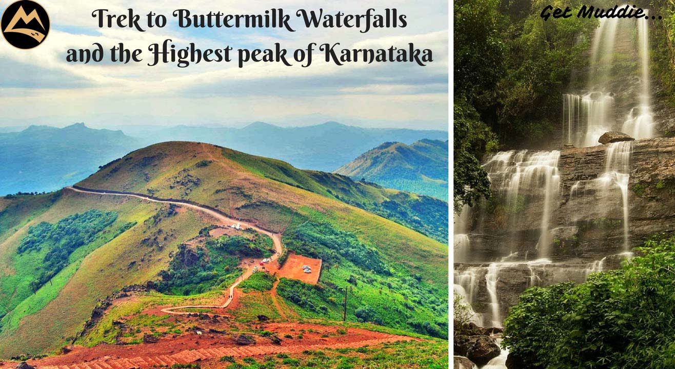 Trek to Buttermilk Waterfalls & Highest peak of Karnataka with Muddie Trails