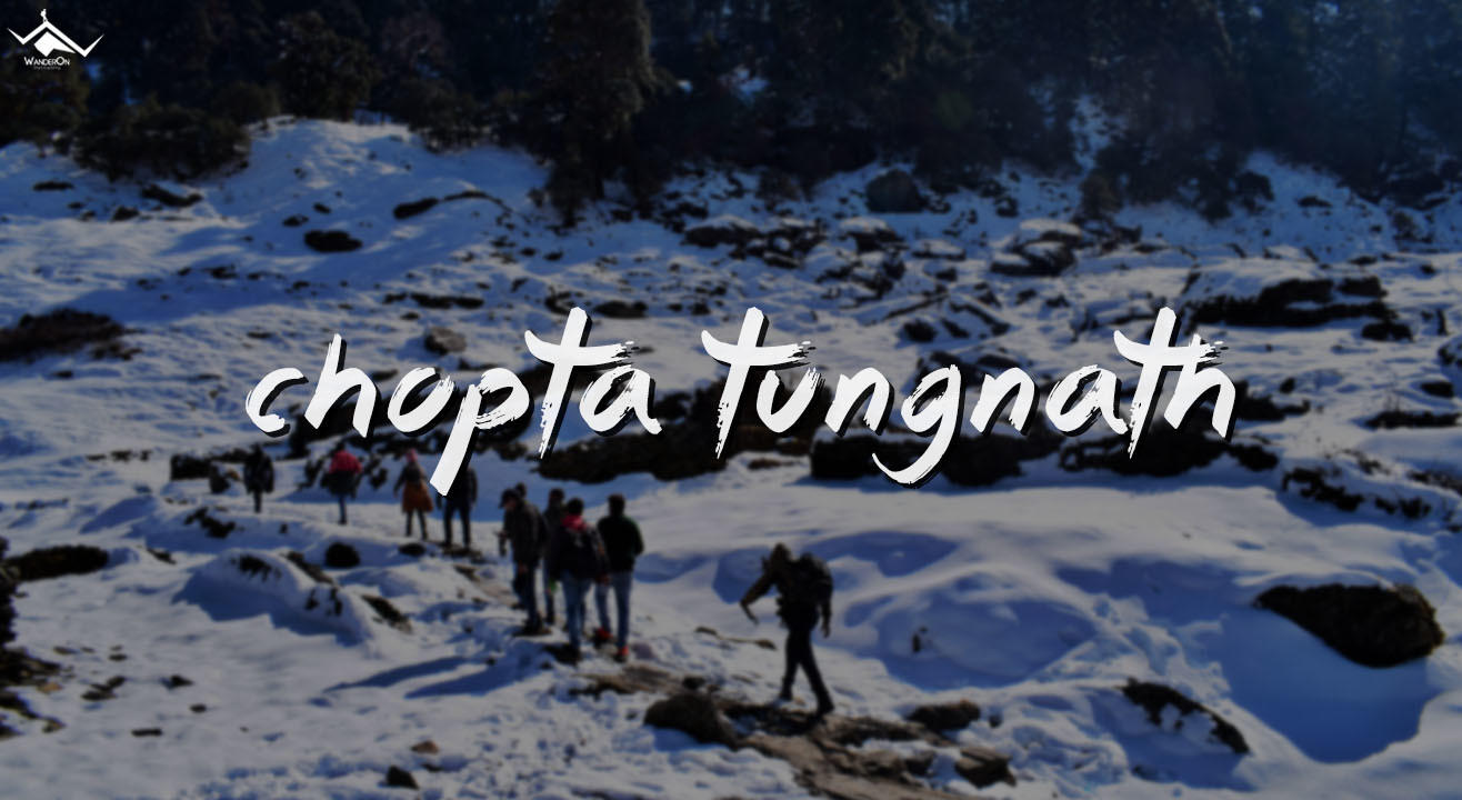 Chopta & Tungnath – Trekking, Camping And Bonfire With WanderOn