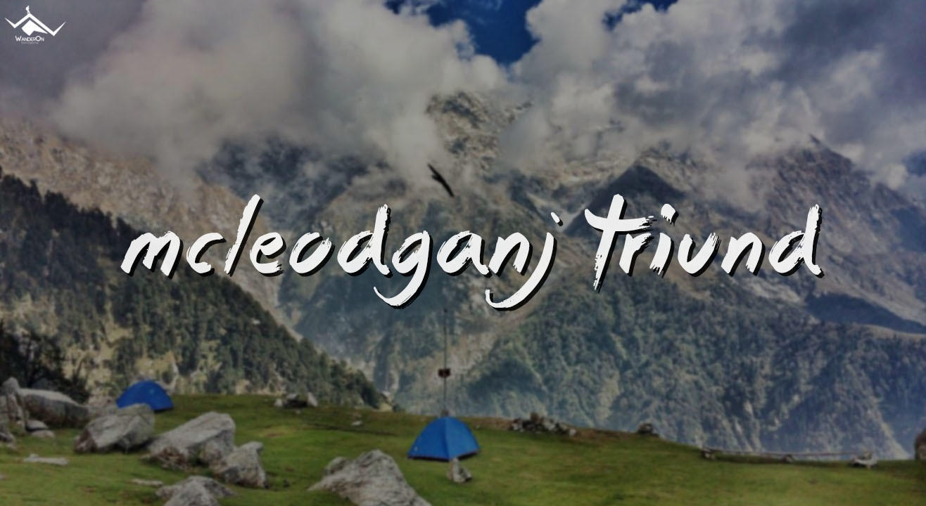 McLeodGanj & Triund – Trekking, Camping And Café Hopping with WanderOn