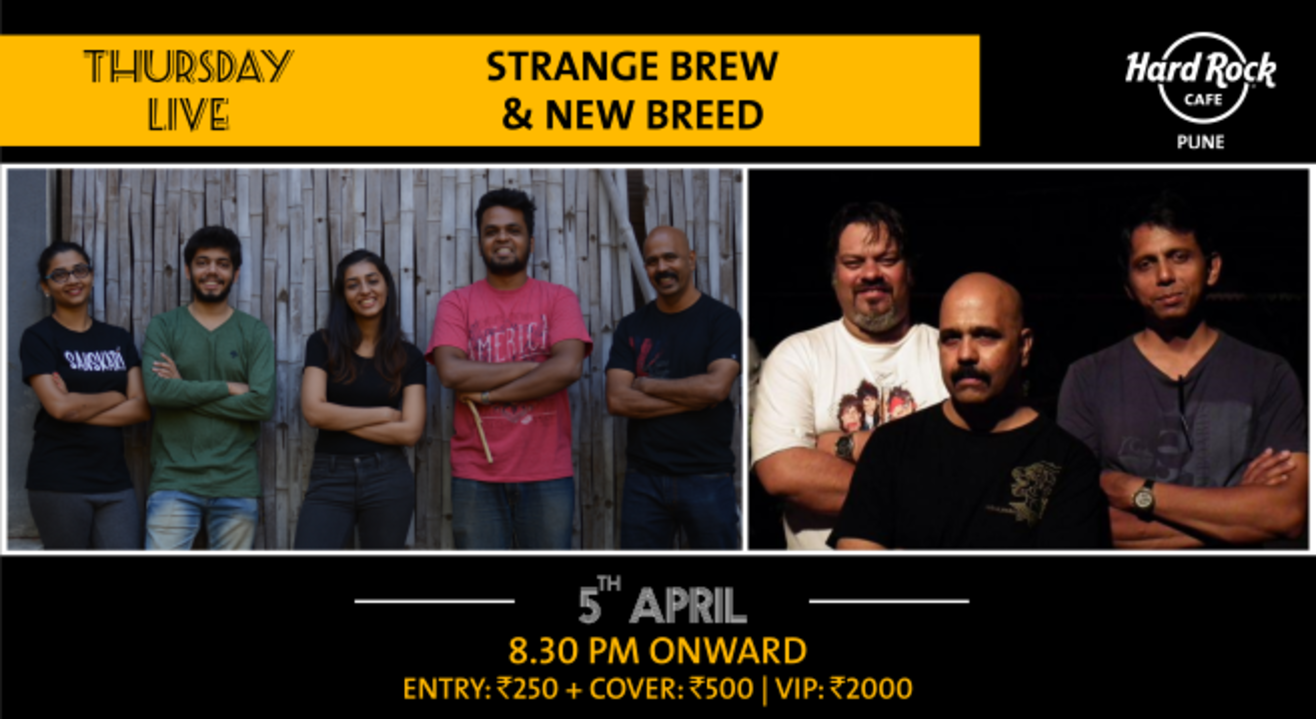 Strange Brew and New Breed - Thursday Live!