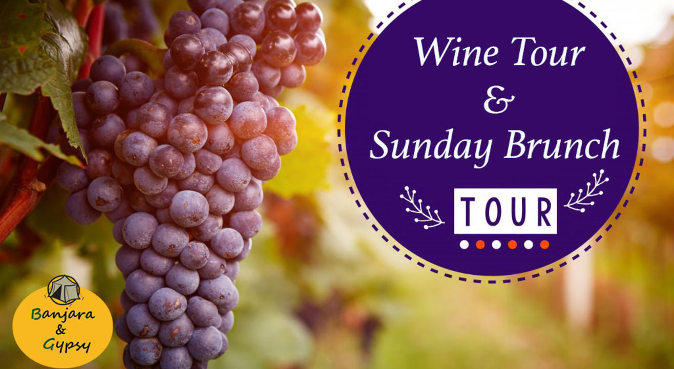 Wine Tour with Lunch