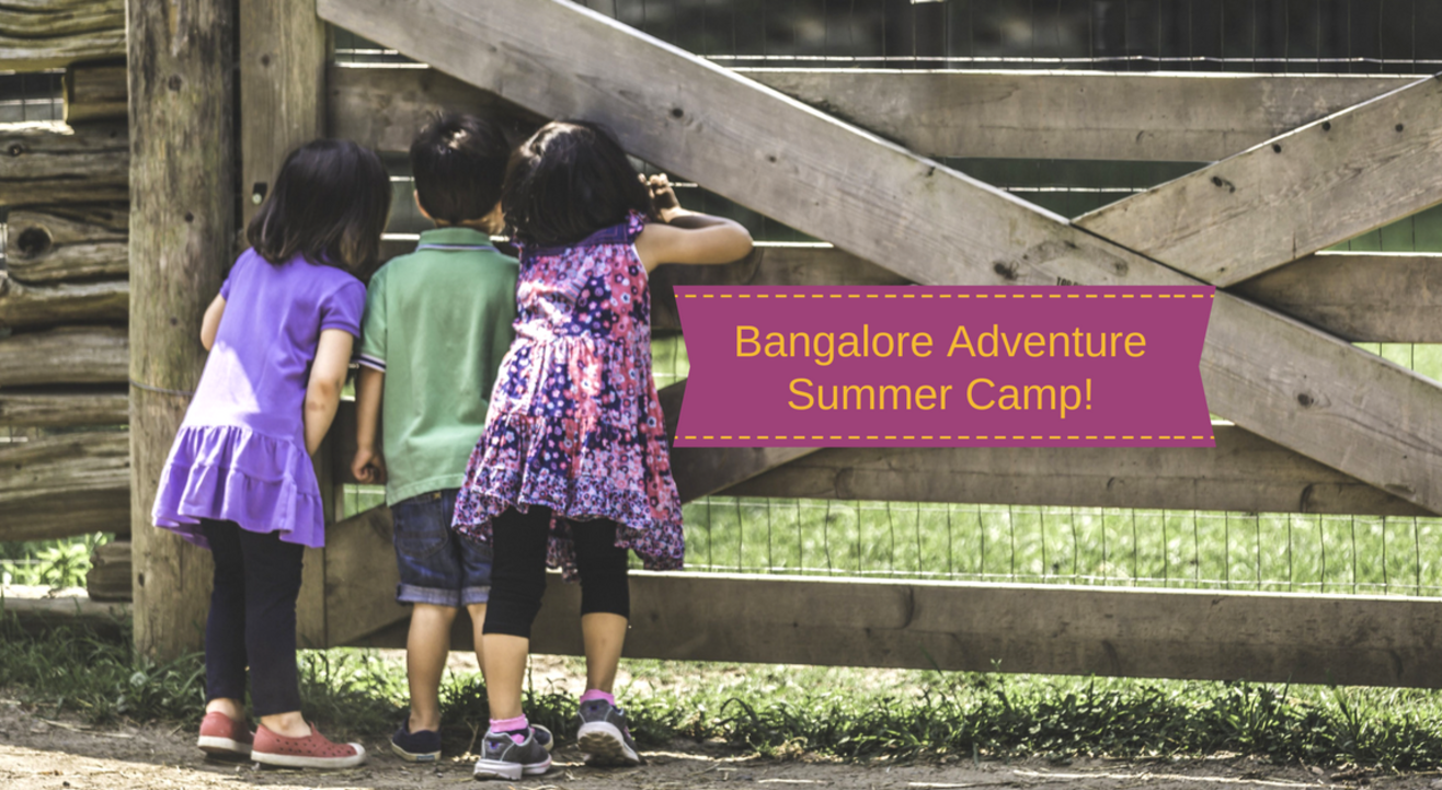 Bangalore Adventure Summer Camp | Plan The Unplanned