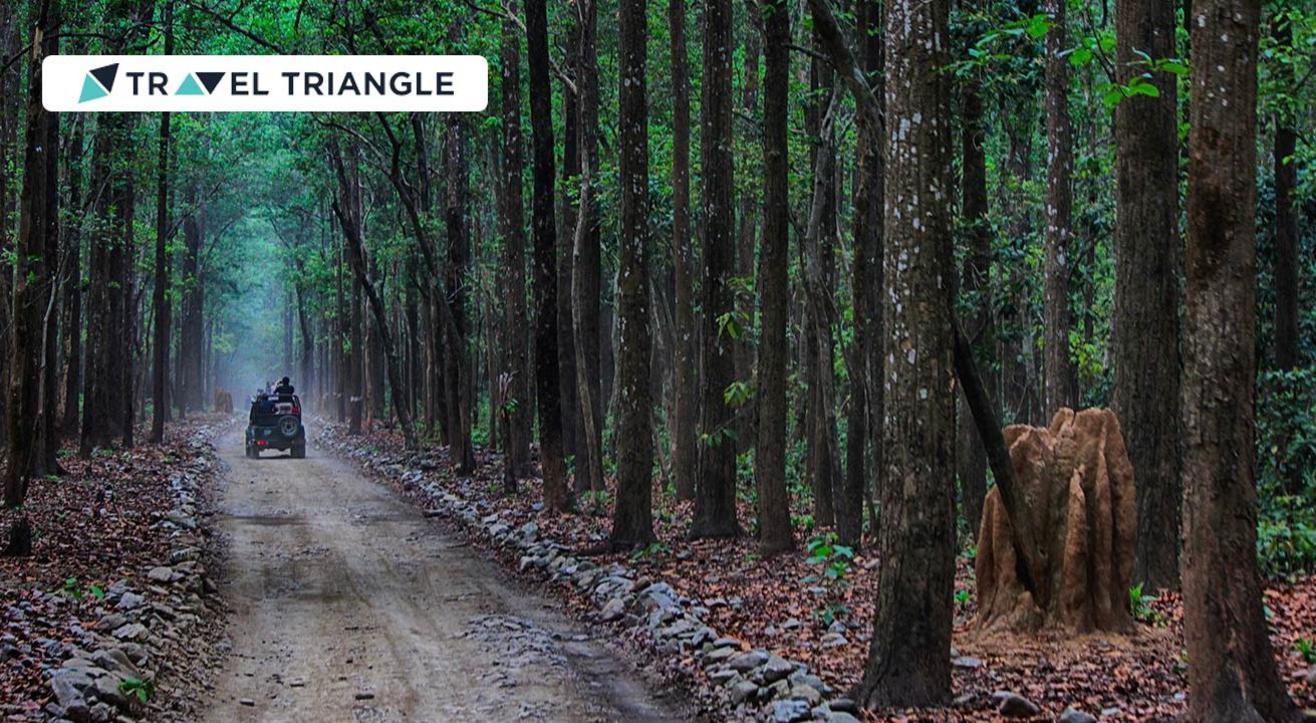 Visit Jim Corbett with Travel Triangle