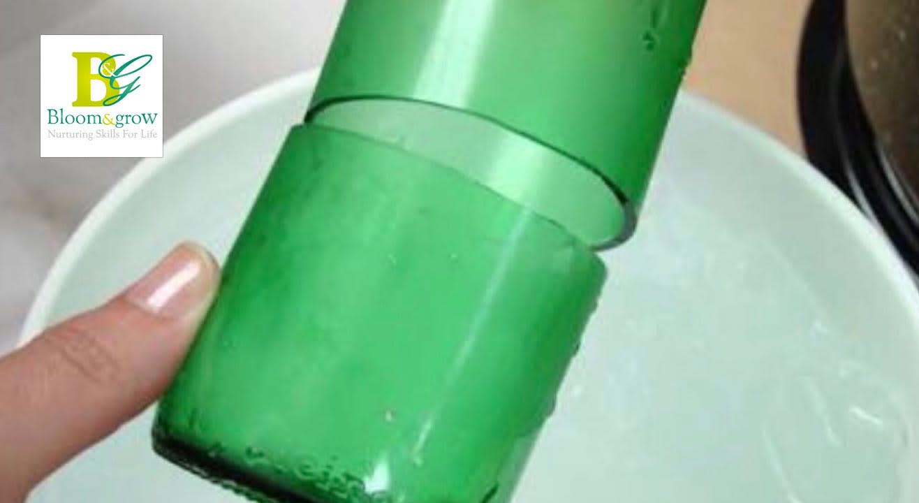 Glass Bottle Cutting & Lamp Making workshop For Beginners