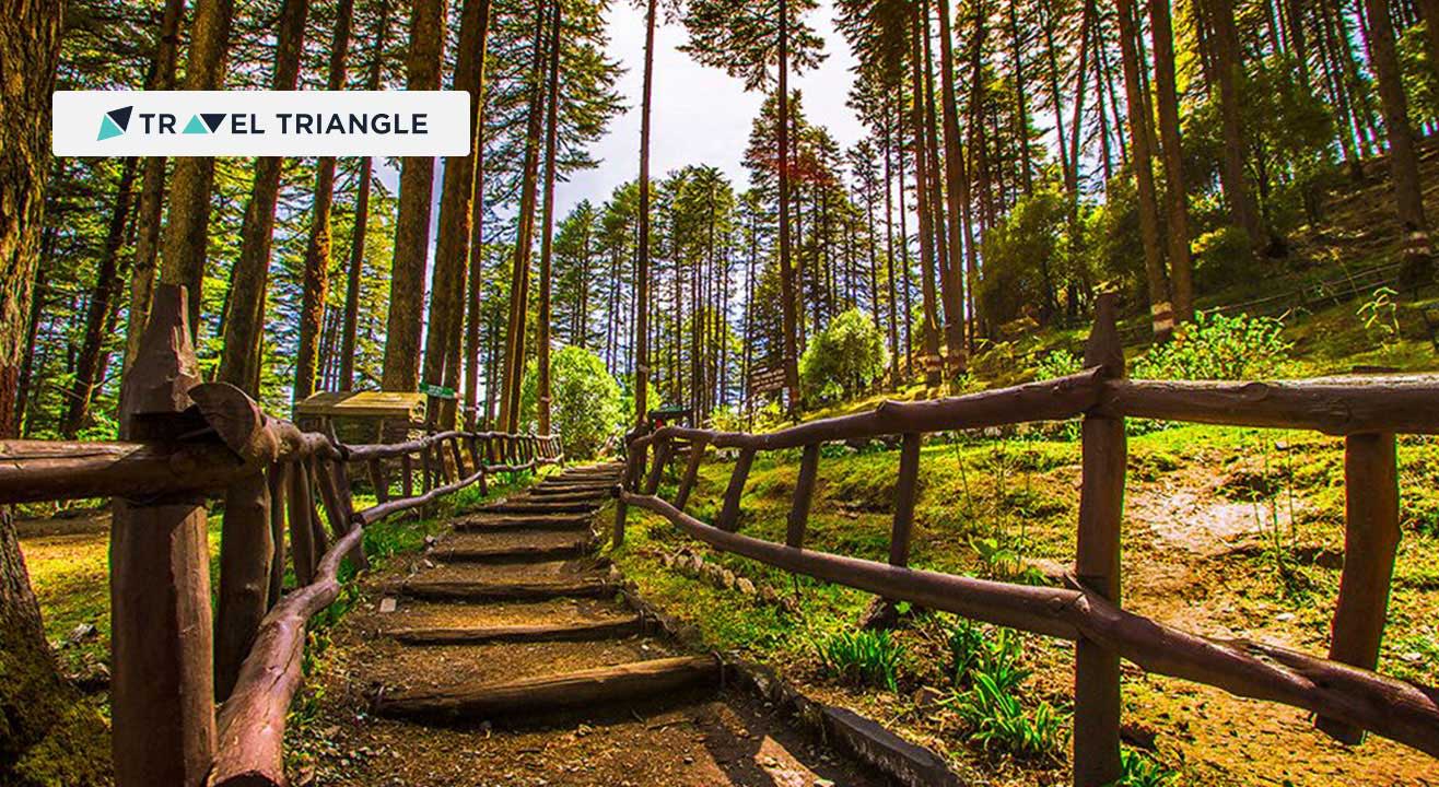 Visit Dhanaulti with Travel Triangle