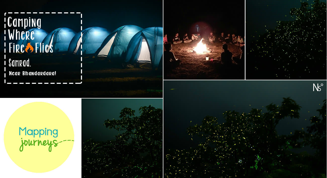 Fireflies camping!