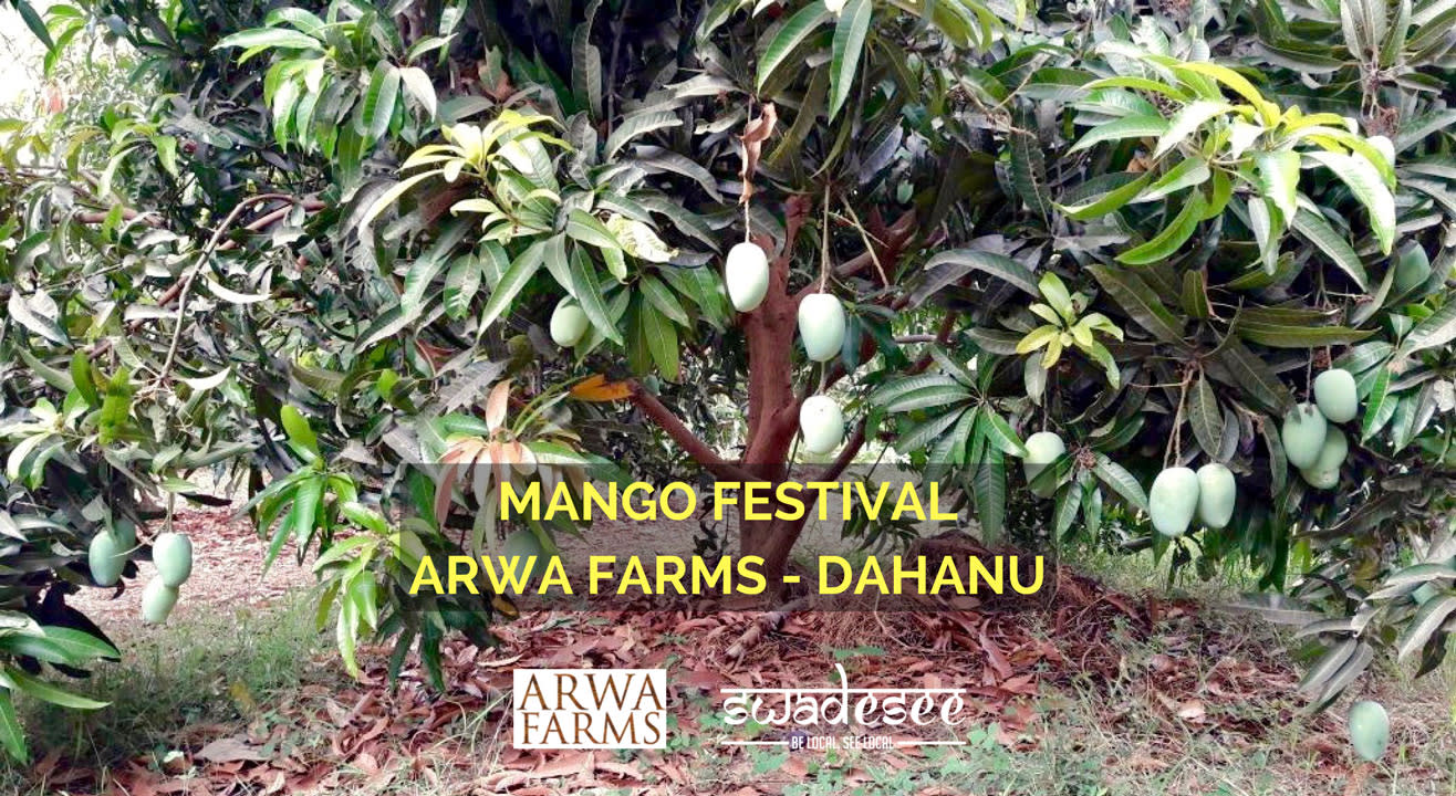 Mango Festival - Arwa Farms