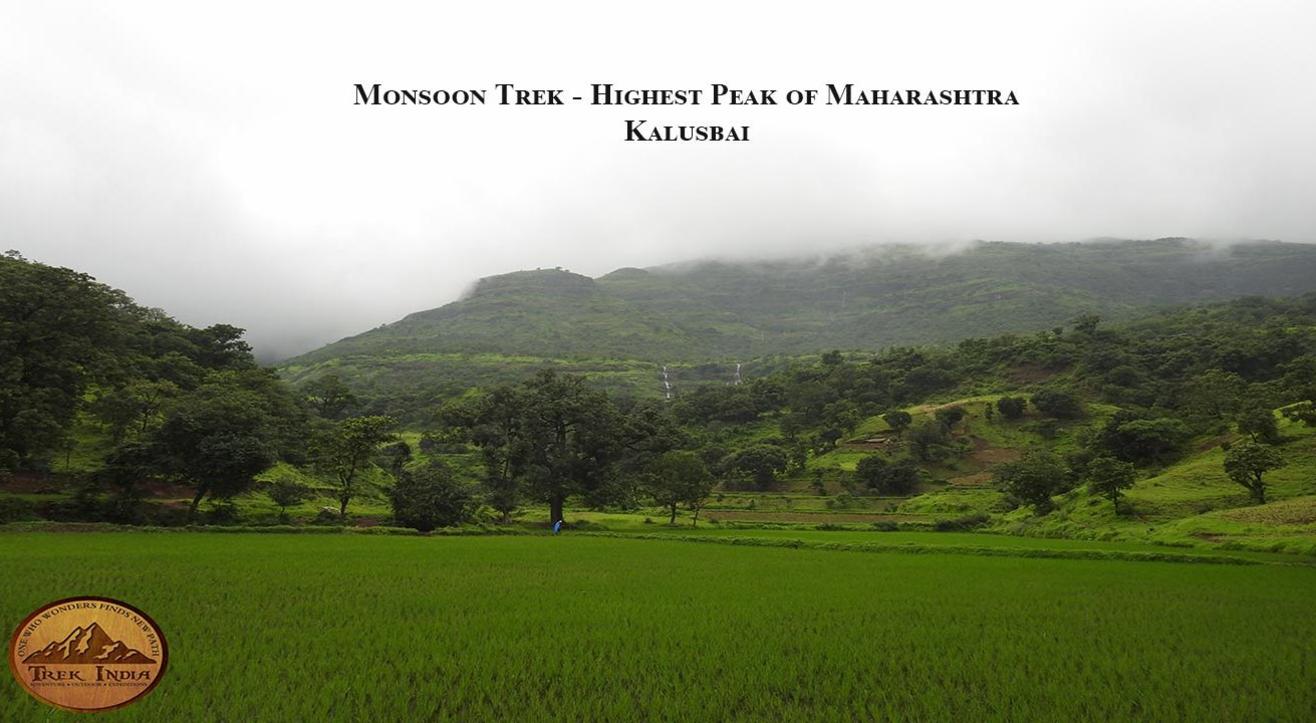 Monsoon Day Trek - Kalusbai Highest Peak of Maharashtra