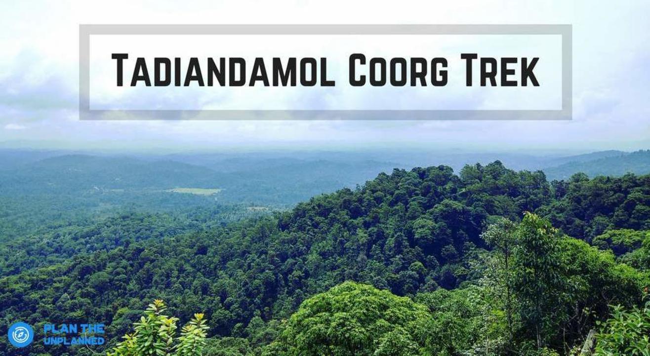 Tadiandamol Coorg Trek | Plan The Unplanned