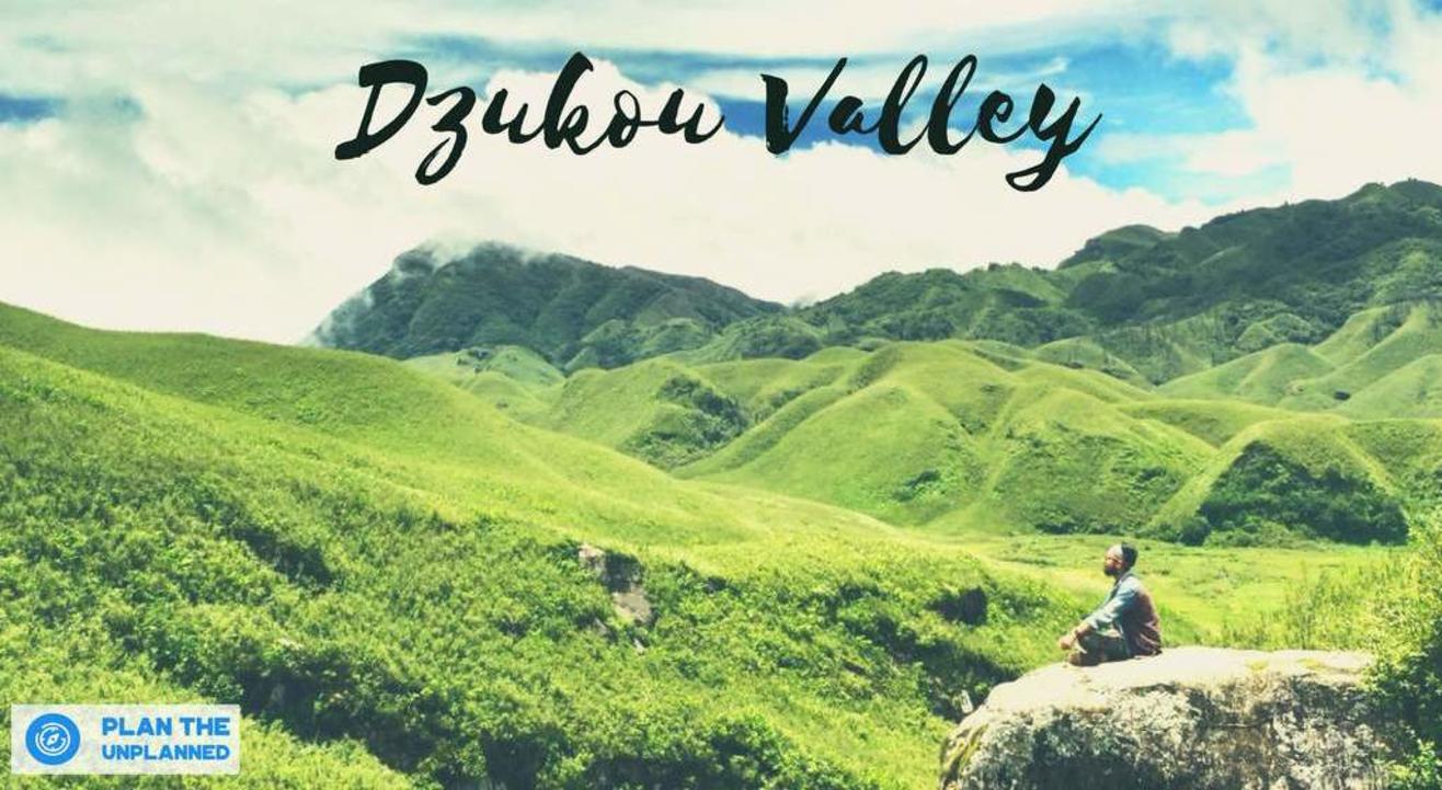 Dzukou Valley Trek In Nagaland | Plan The Unplanned