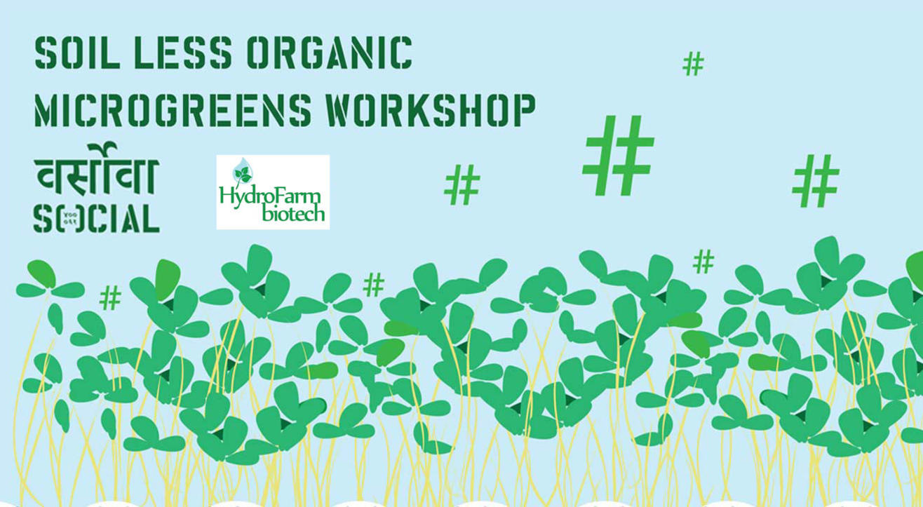 Soil Less Organic Microgreens Workshop at Versova Social