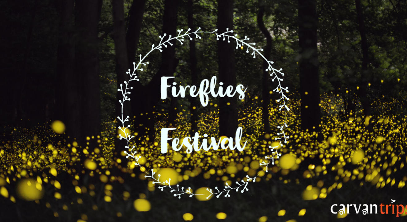 Dang! Fireflies Festival & Organic Farmstay