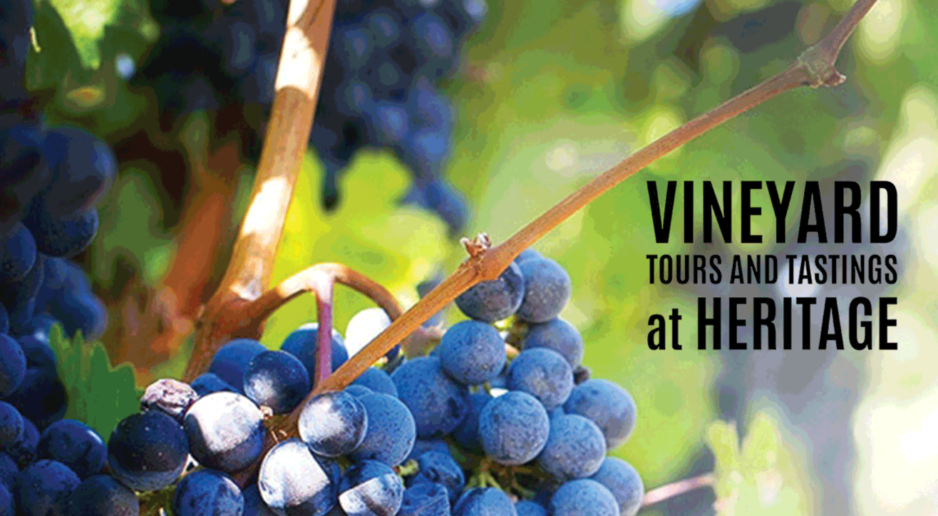 Heritage winery Tour and Tasting