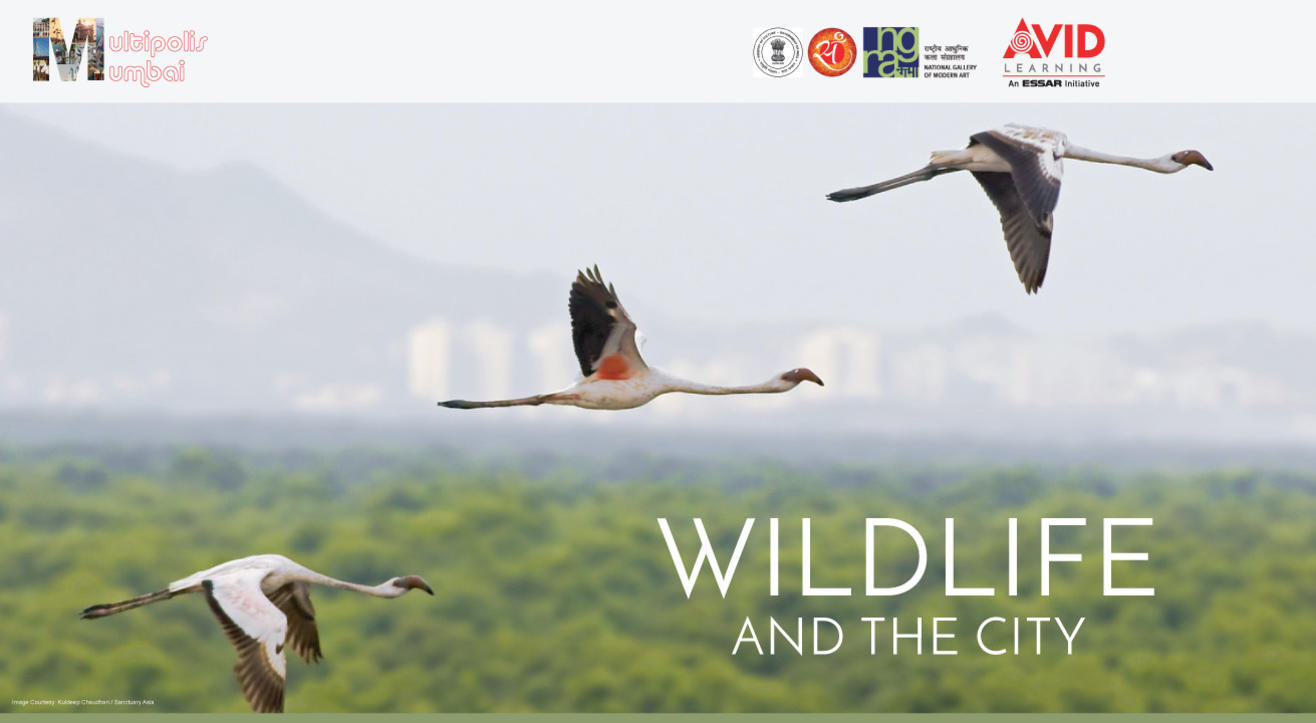 Multipolis Mumbai: Wildlife and the City