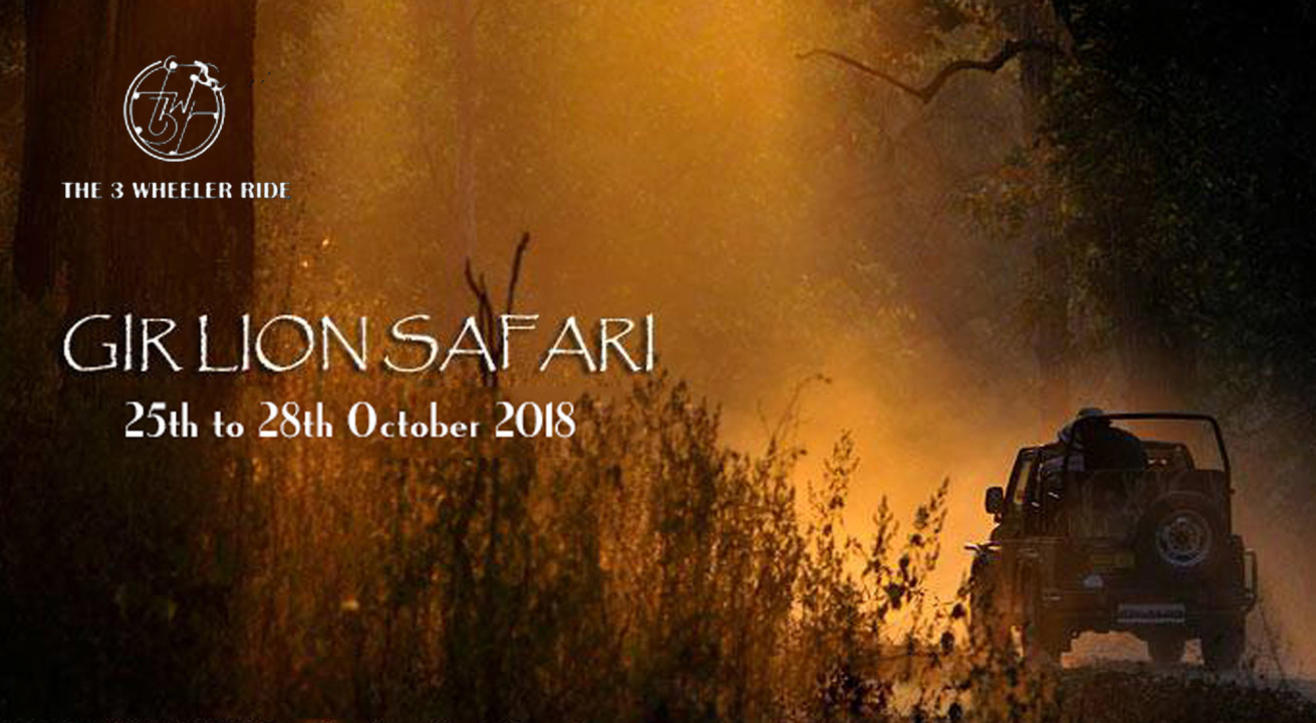 Gir Lion Safari 2018