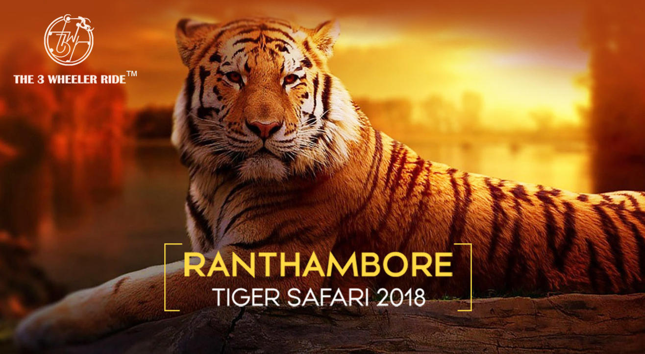 T3WR - Ranthambore National Park Safari 2018