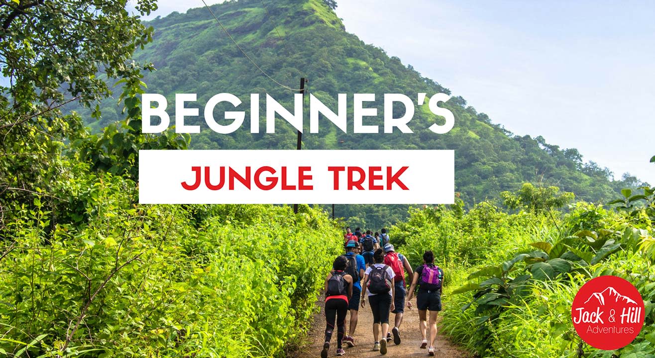 Beginner's Jungle Trek