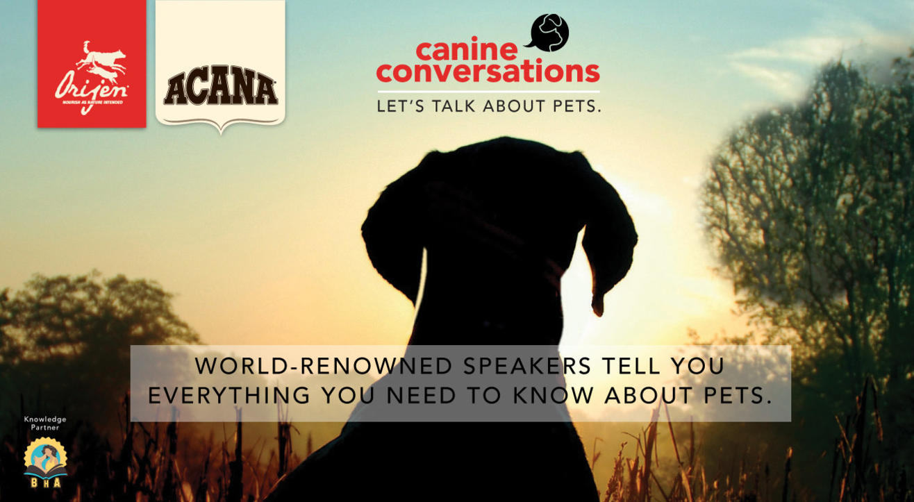 Canine Conversations – Let’s Talk About Pets