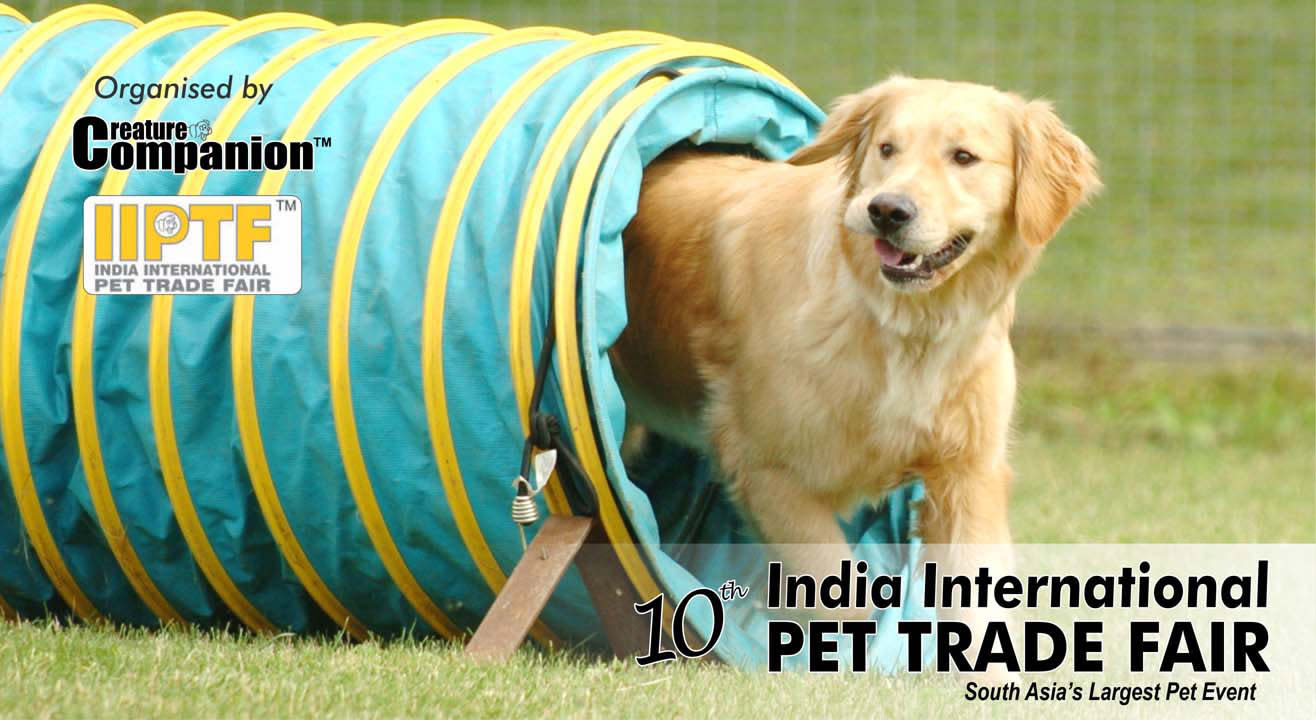 IIPTF, International Pet Festival 2018