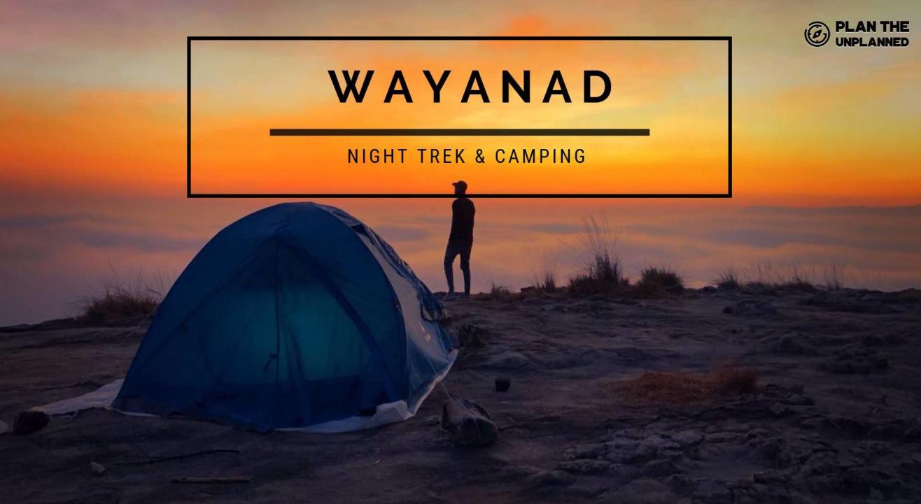 Wayanad Night Trek & Camping | Plan The Unplanned