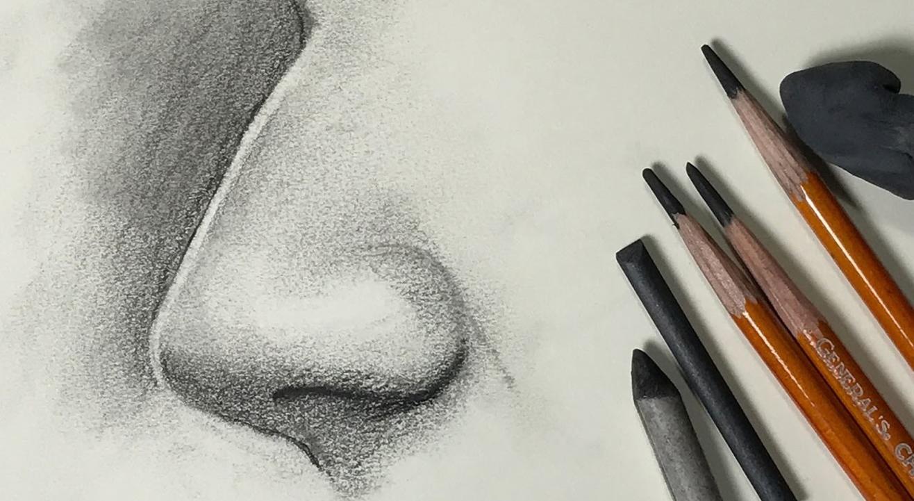 Online Course Drawing Animal Portraits for Beginners  Realistic Sketching   Shading Techniques from Skillshare  Class Central