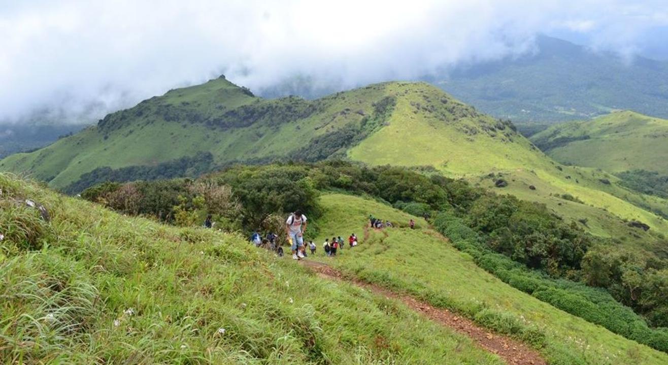 Tadiandamol Trek | Escape2Explore