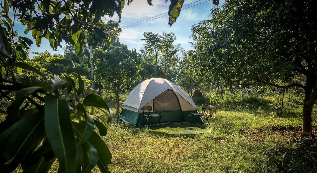 Discover Fantastic Camping with Campmonk