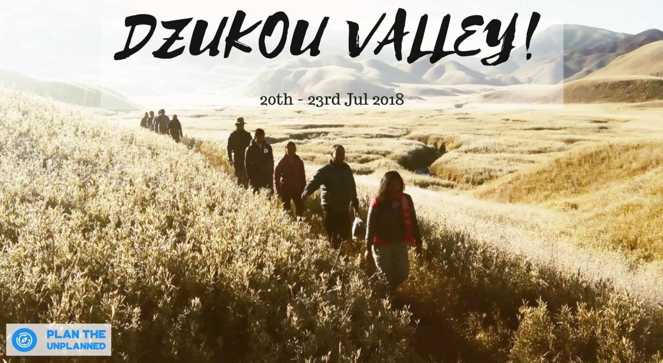 Dzukou Valley Trek In Nagaland | Plan The Unplanned