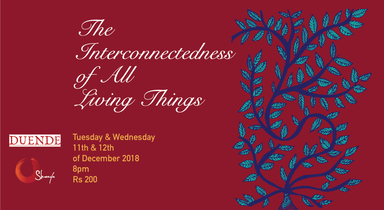 The Interconnectedness of All Living Things