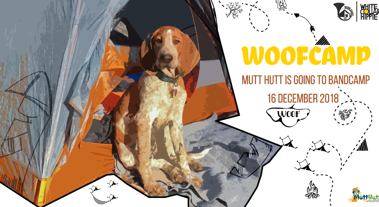 WoofCamp: Mutt Hutt at BandCamp