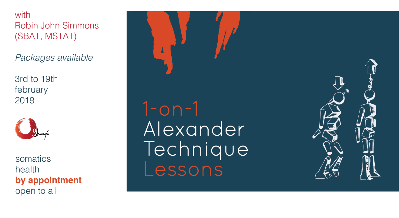 1-on-1 Alexander Technique Sessions