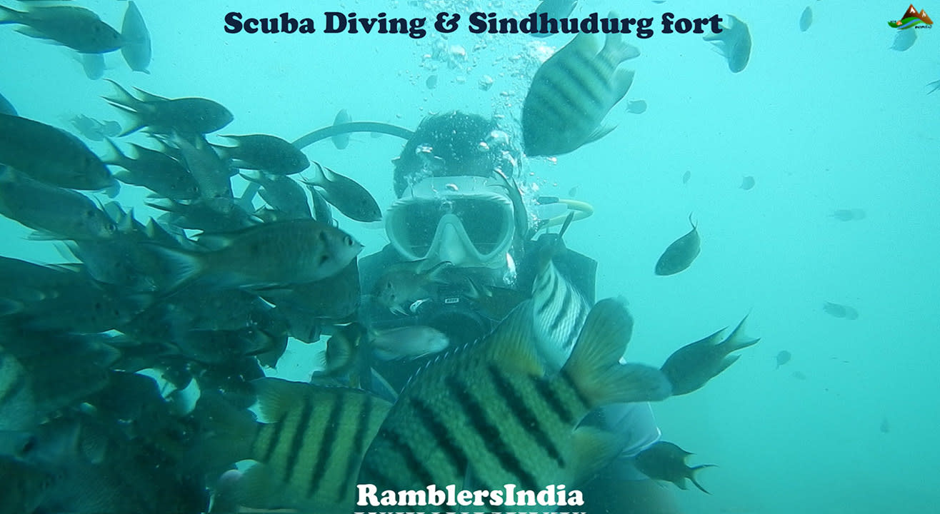 Scuba diving with Sindhudurg fort tour