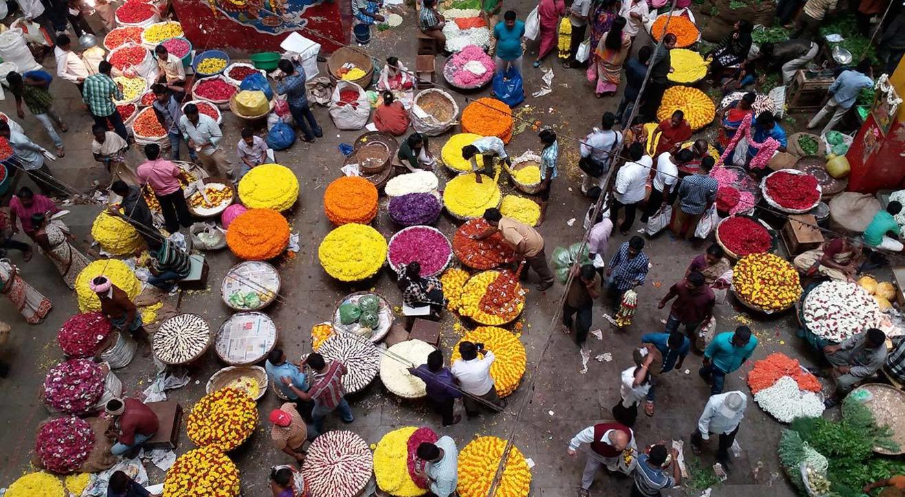 Pettah Walk In Avenue Road