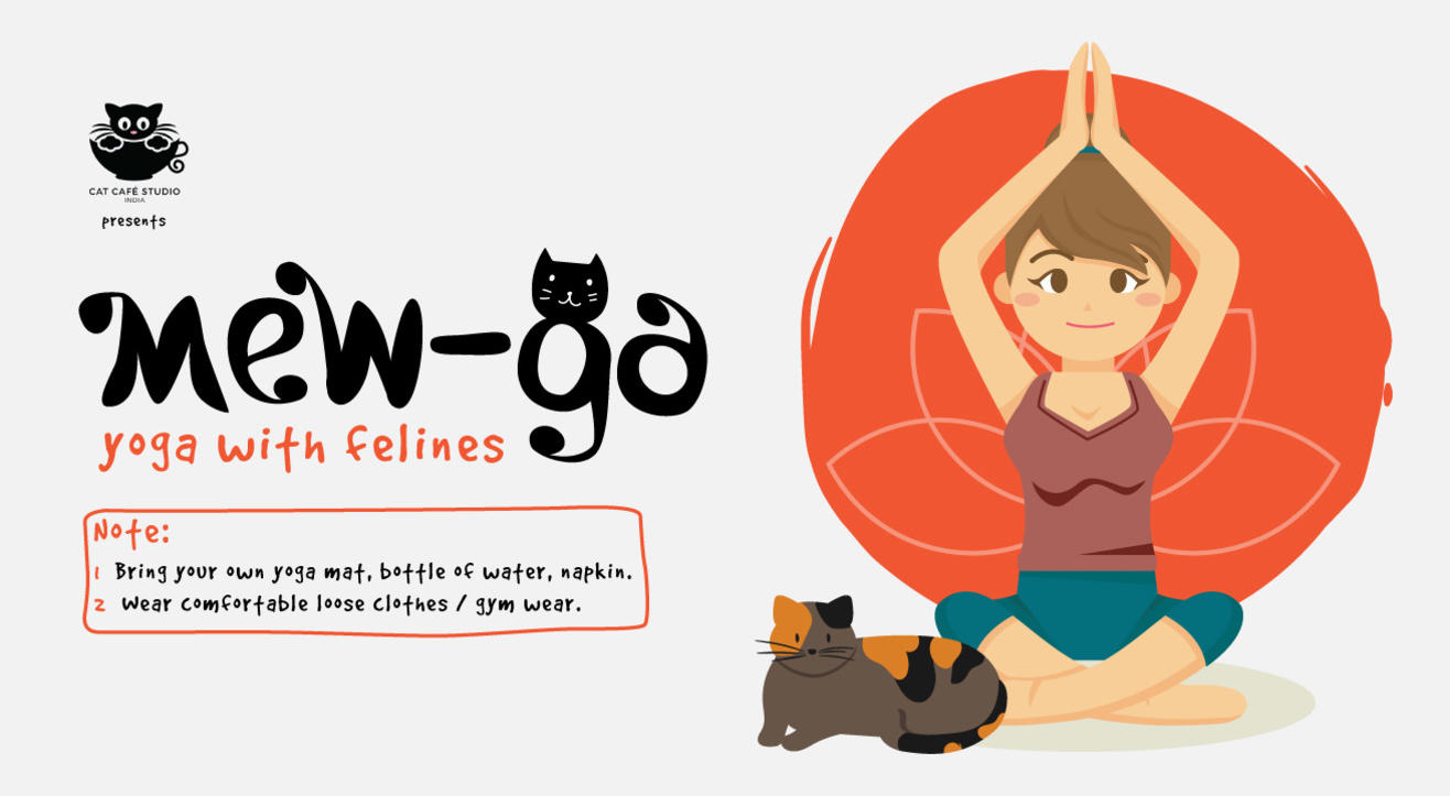 Mew-Ga 2.0 : Yoga With Cats